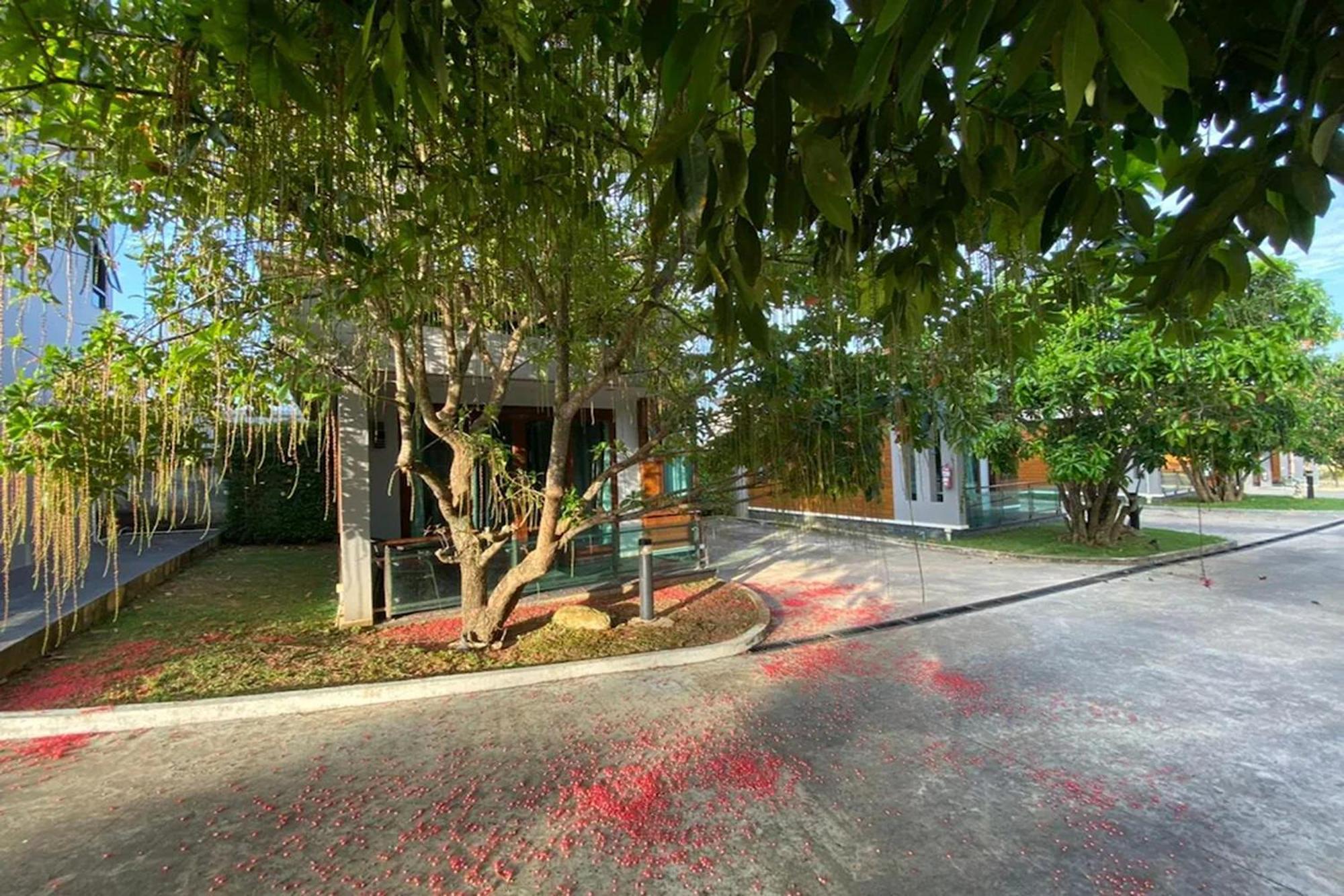 Nutchana Hill Boutique Hotel Hat Yai Eksteriør bilde
