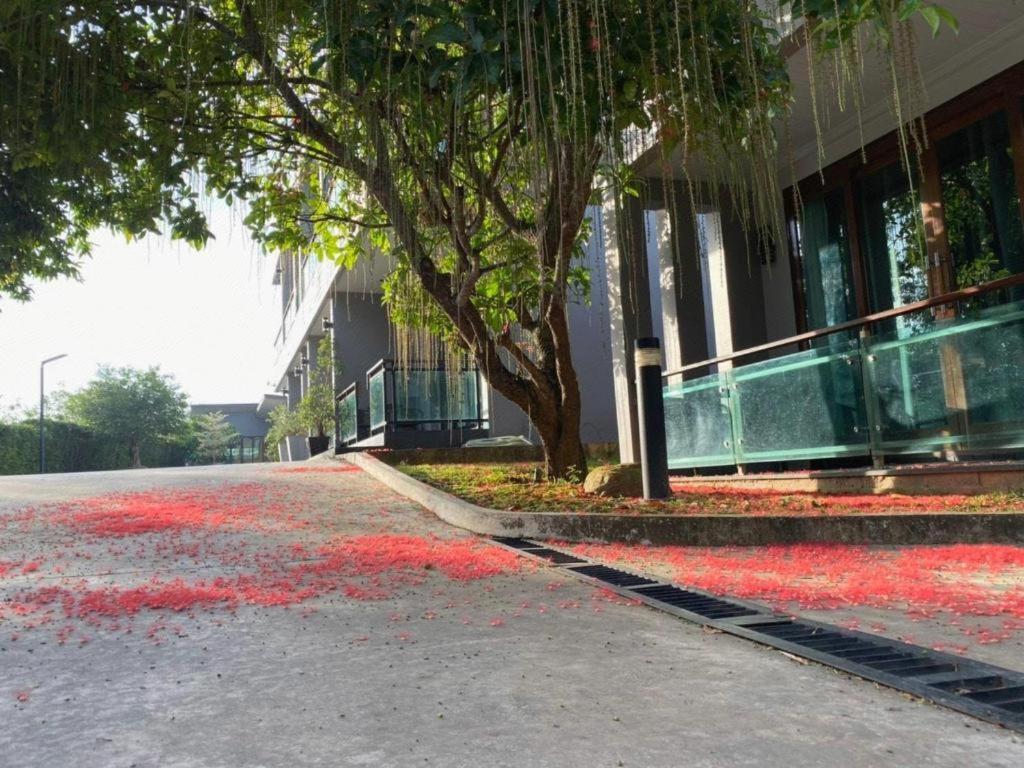 Nutchana Hill Boutique Hotel Hat Yai Eksteriør bilde